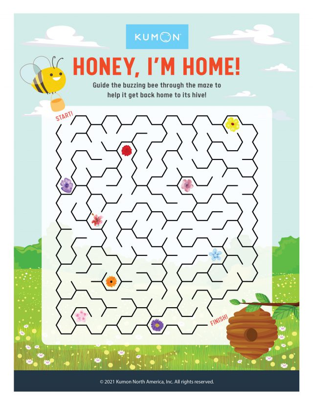 Summer Themed Maze Student Resources